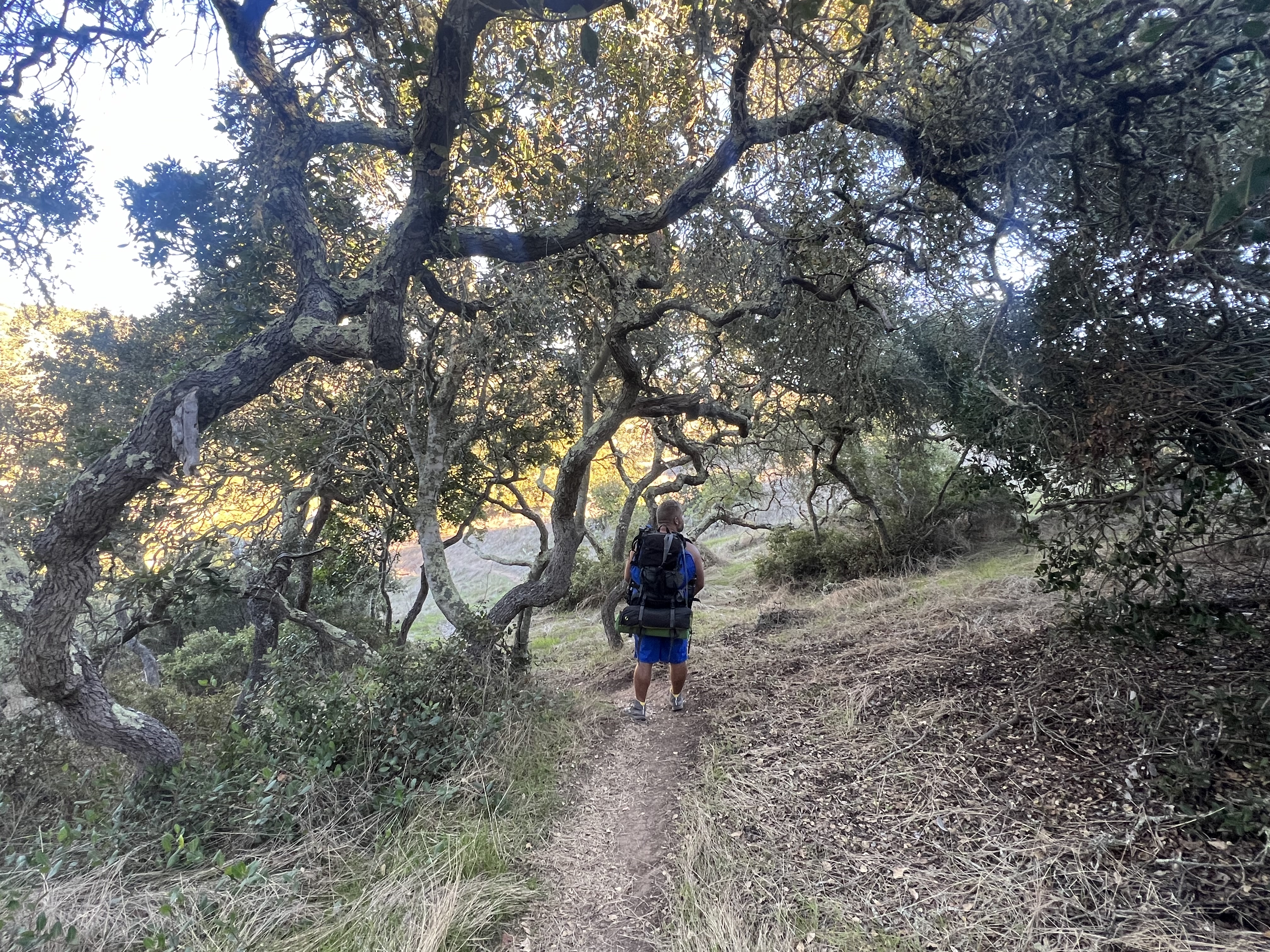 Shade on the way to Airport In the Sky