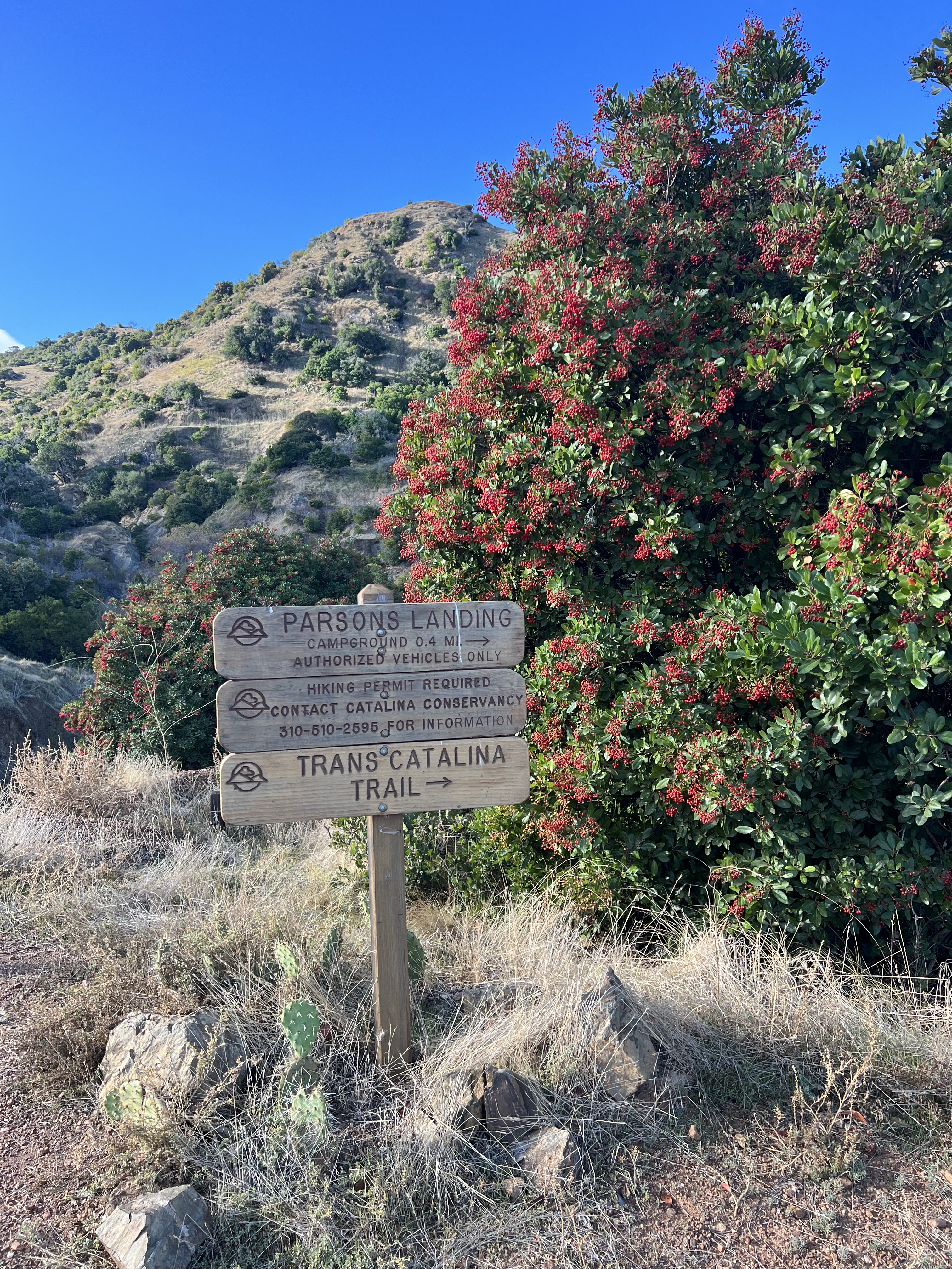 Leaving Parson's Landing