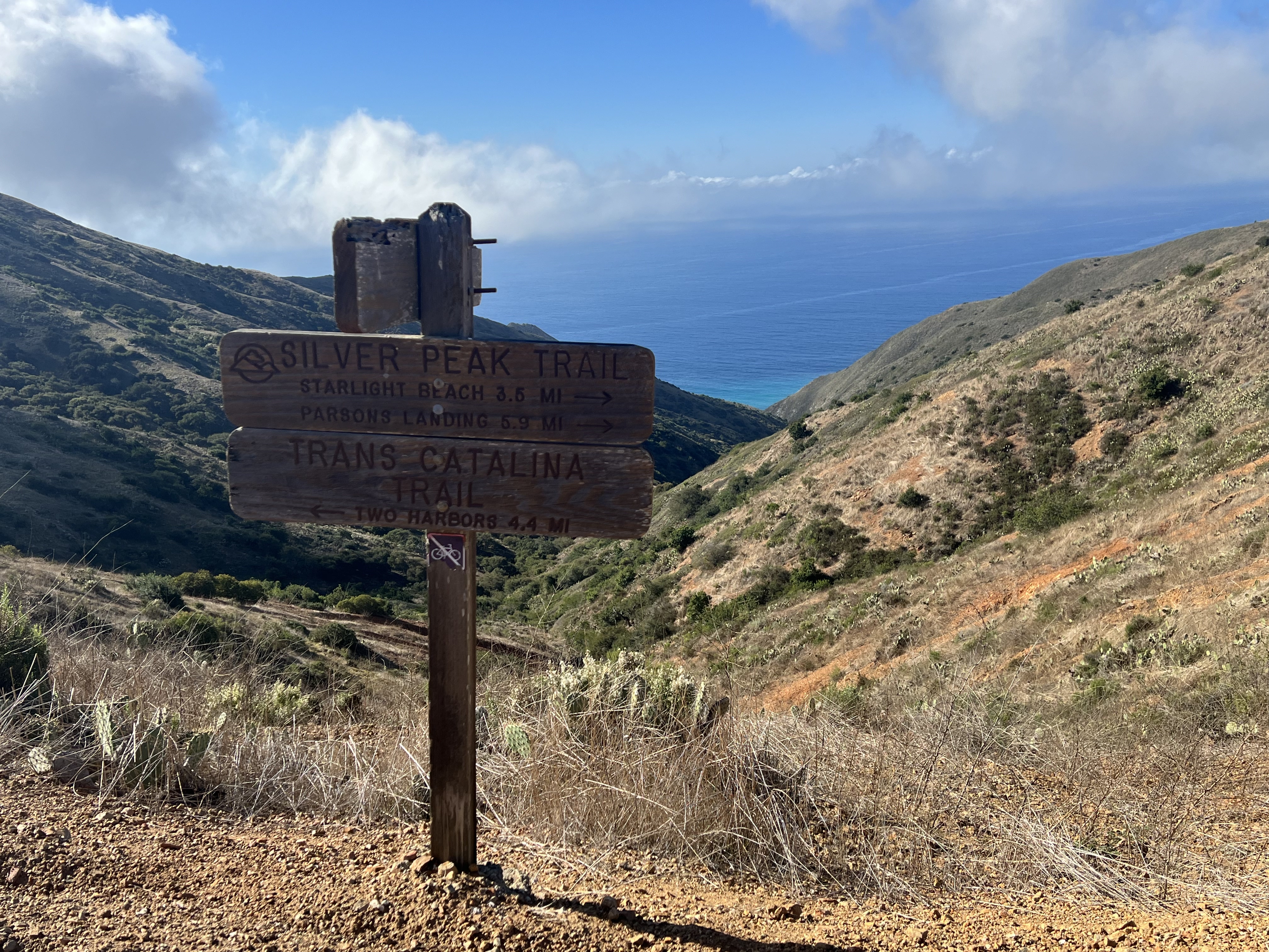 Trans Catalina Trail Intersection