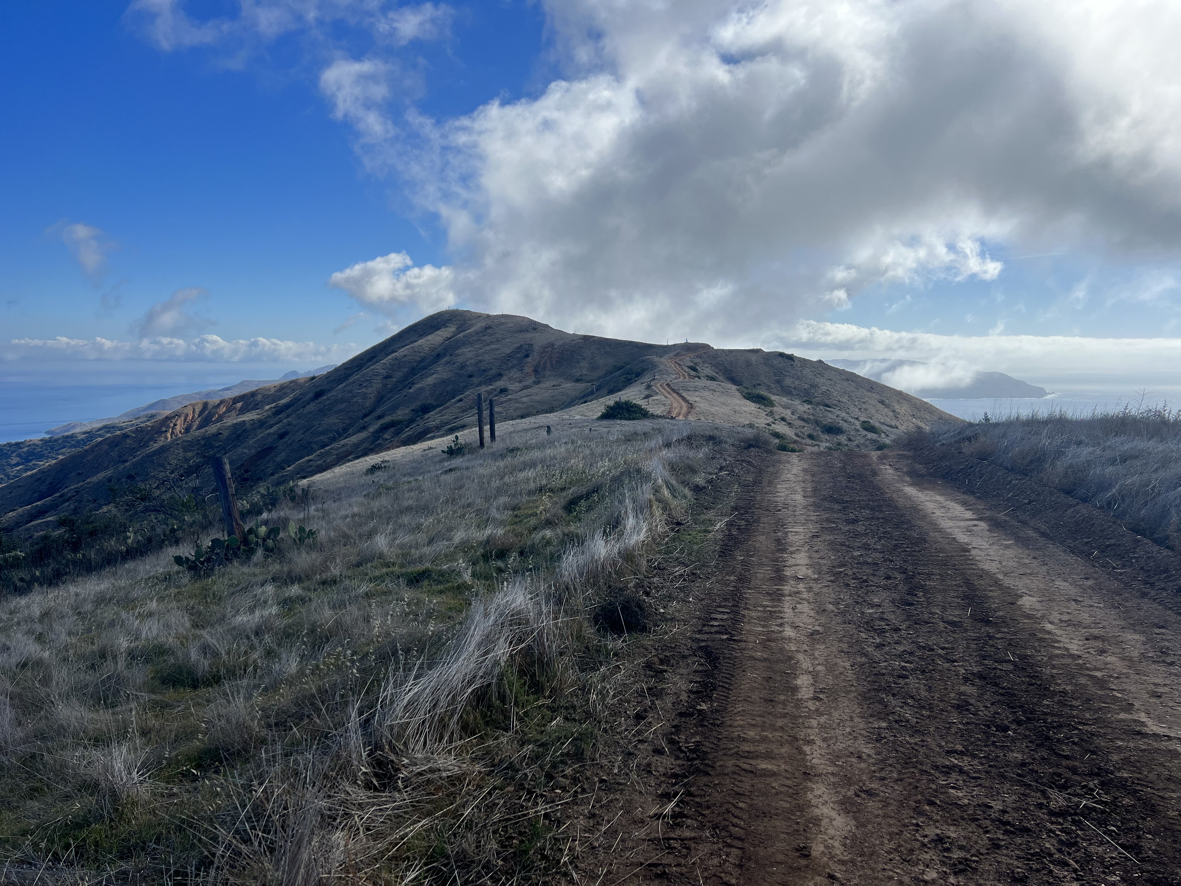 Heading south on the Trans Catalina Trail towards Two Harbors