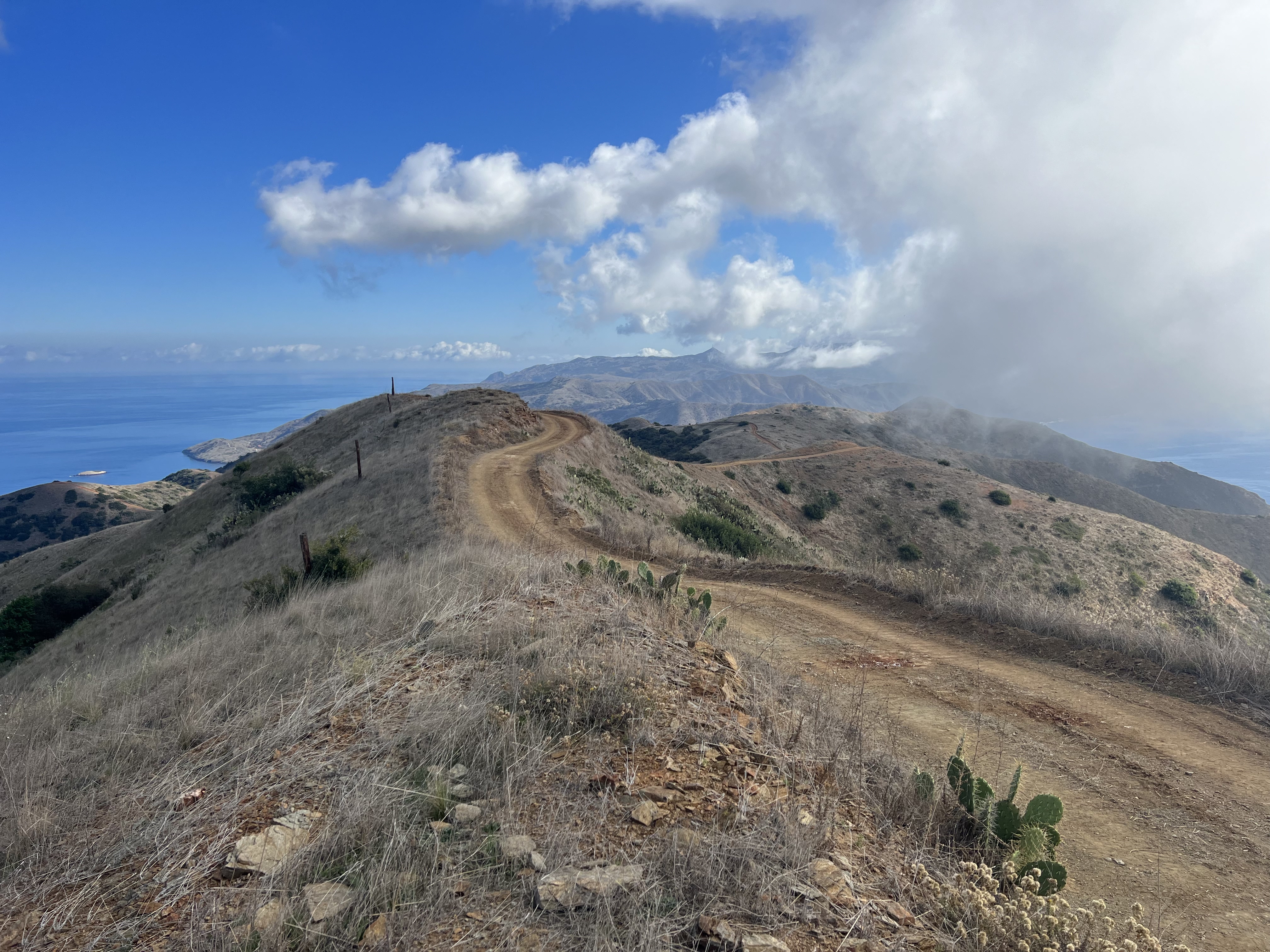 Heading south towards Two Harbors on the Trans Catalina Trail