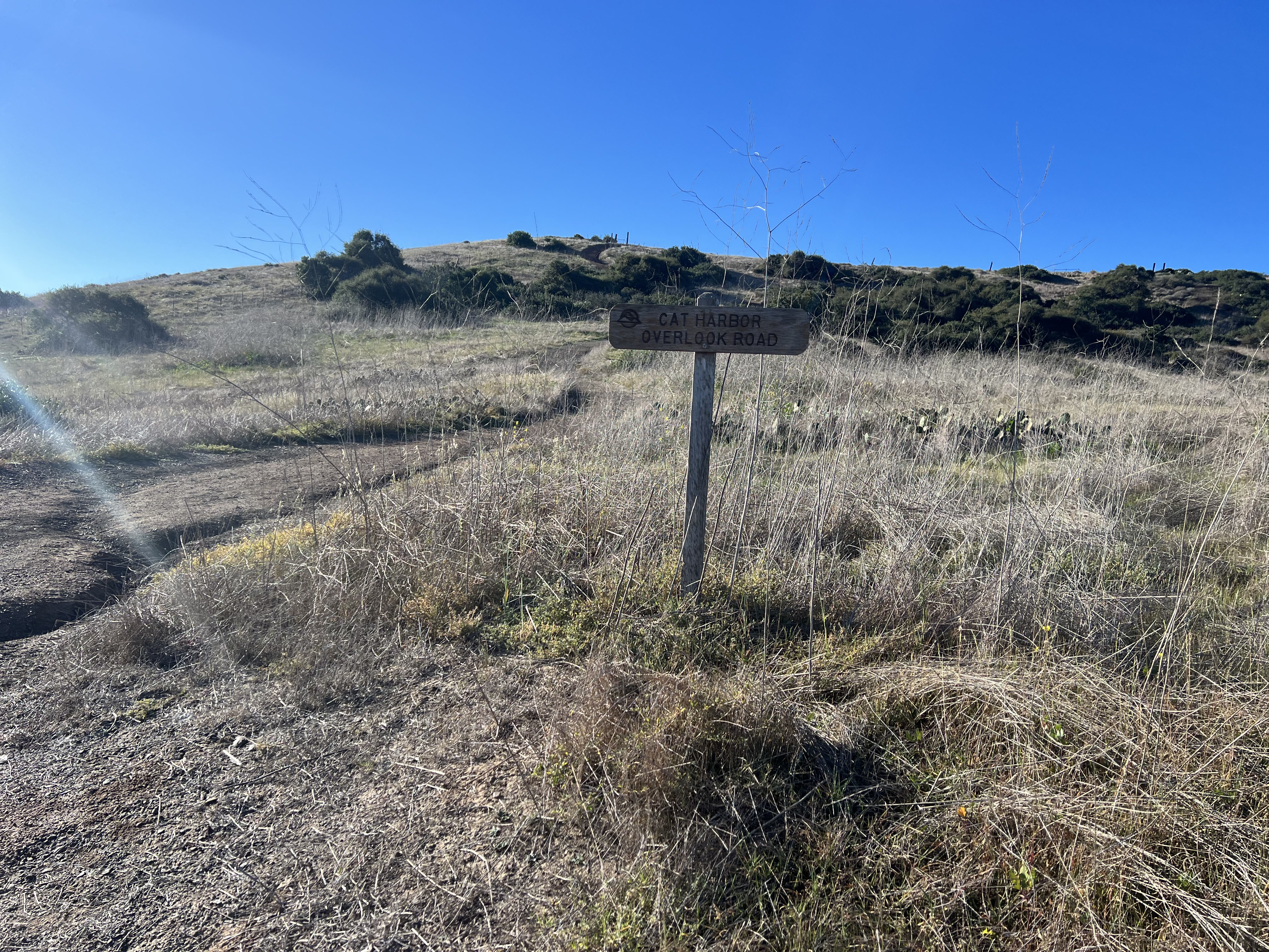 Cat Harbor Overlook Road