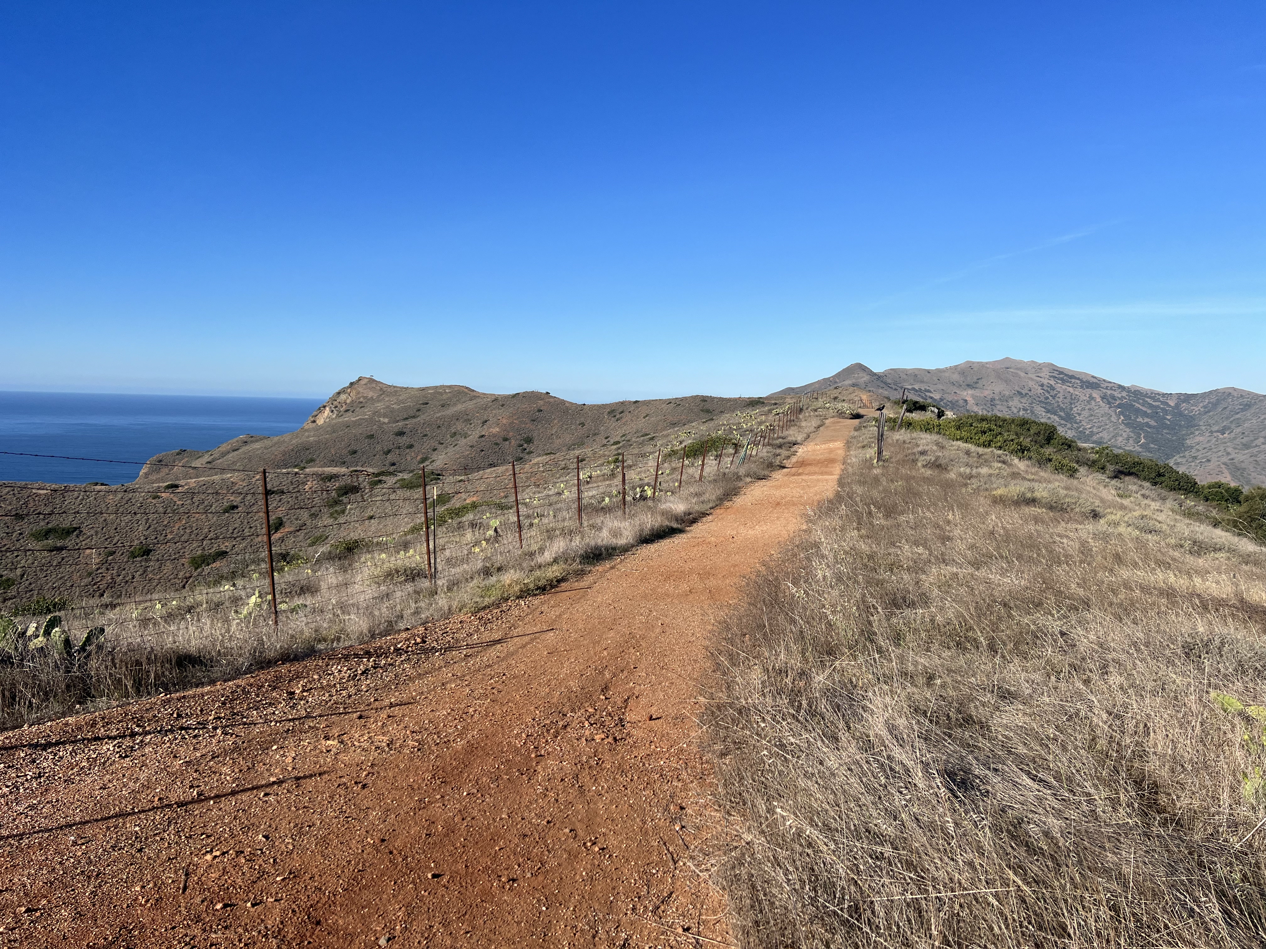 Walking towards Cat Overlook on Catalina Island
