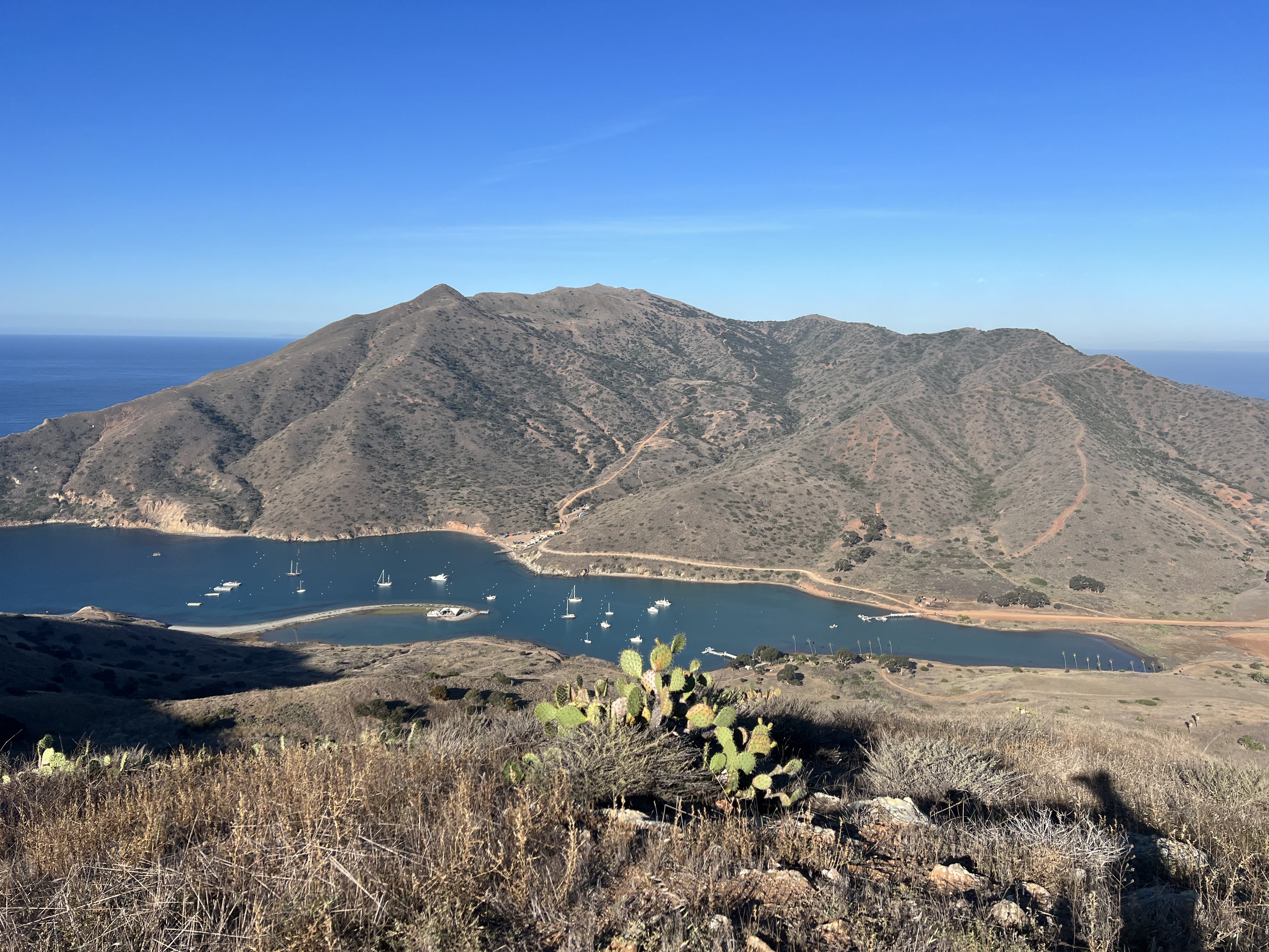 Catalina Harbor