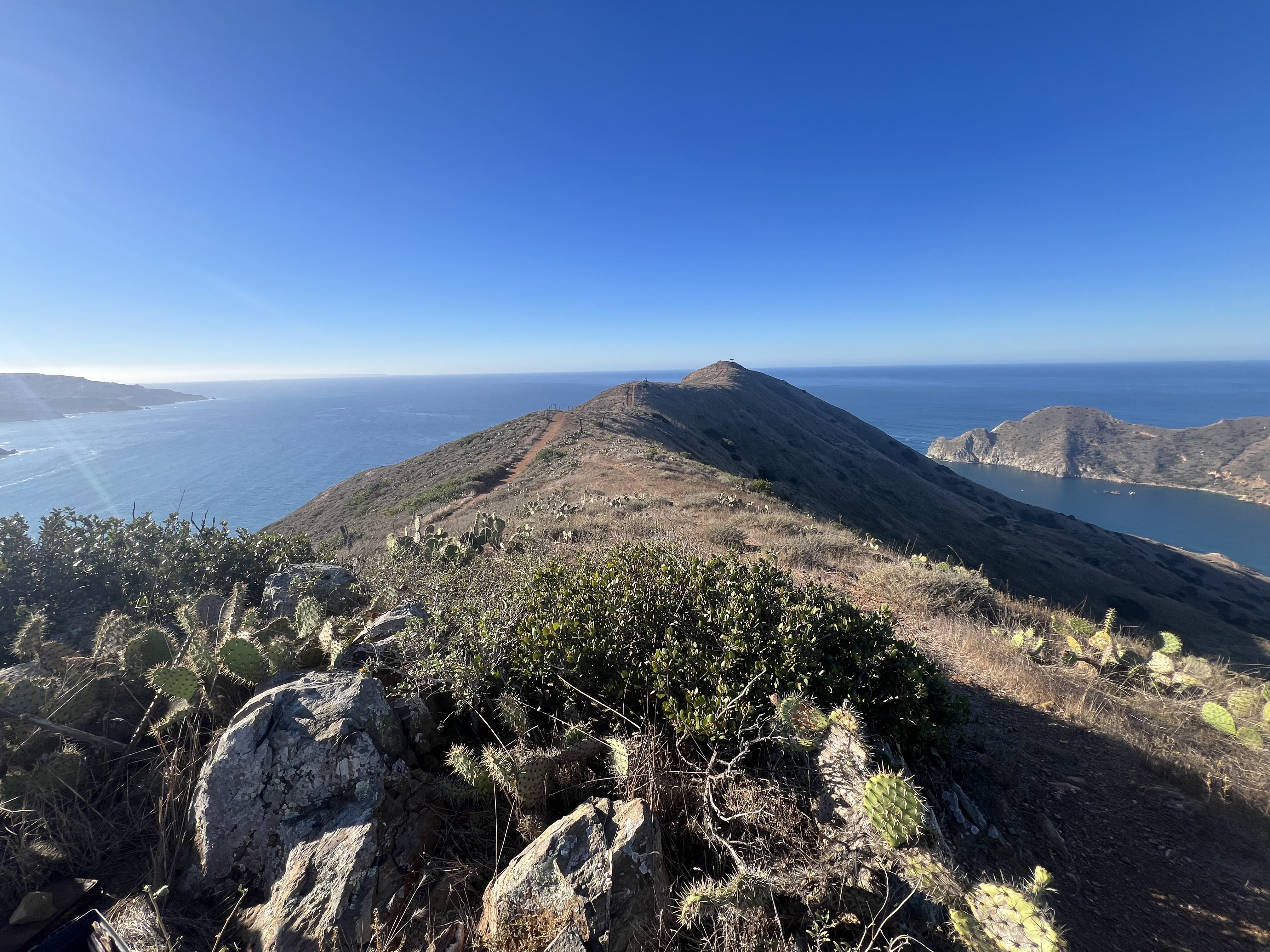 Cat Overlook Catalina Island