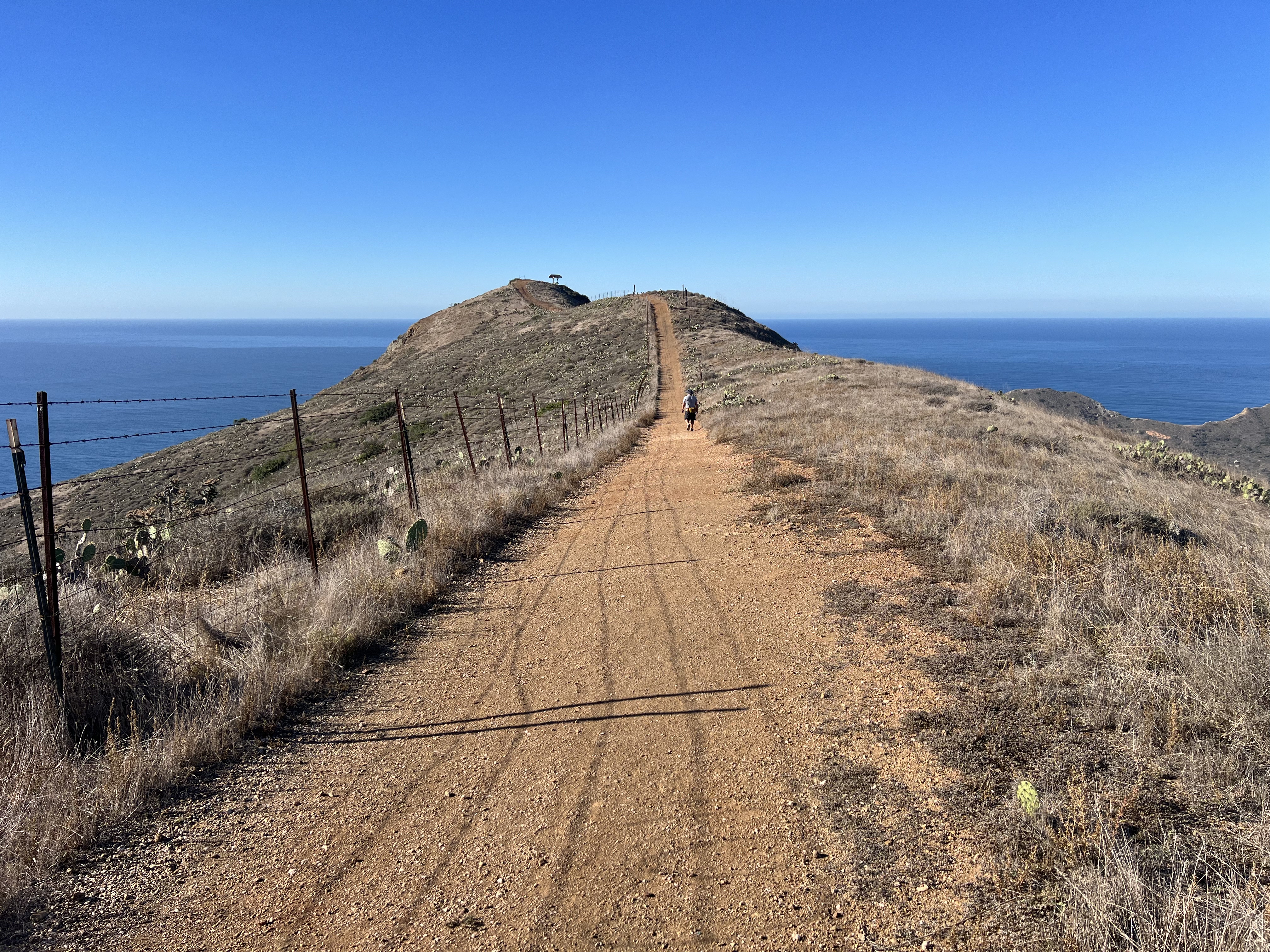 Cat Overlook Catalina Island