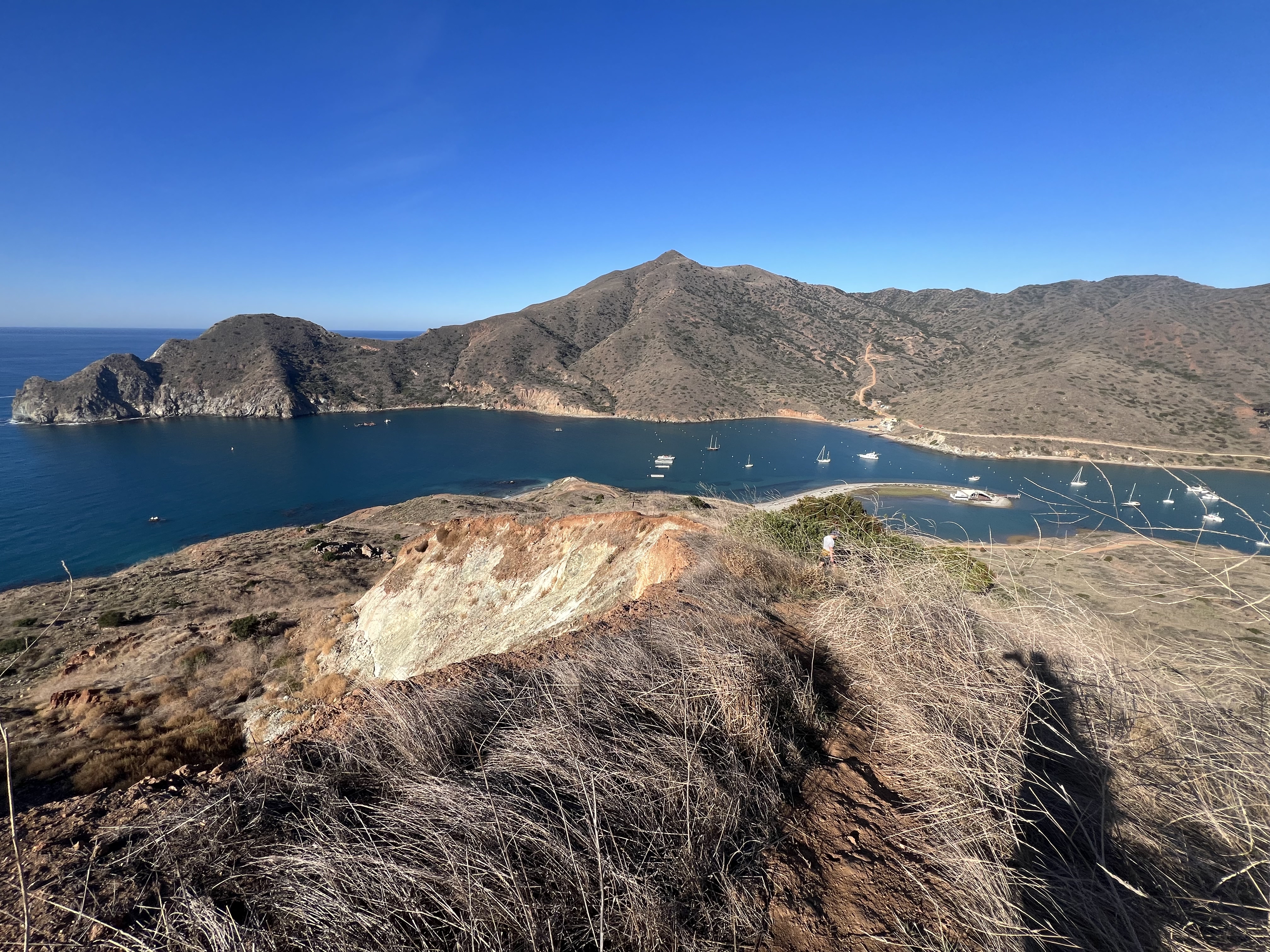 Catalina Harbor from above the eroded hillside
