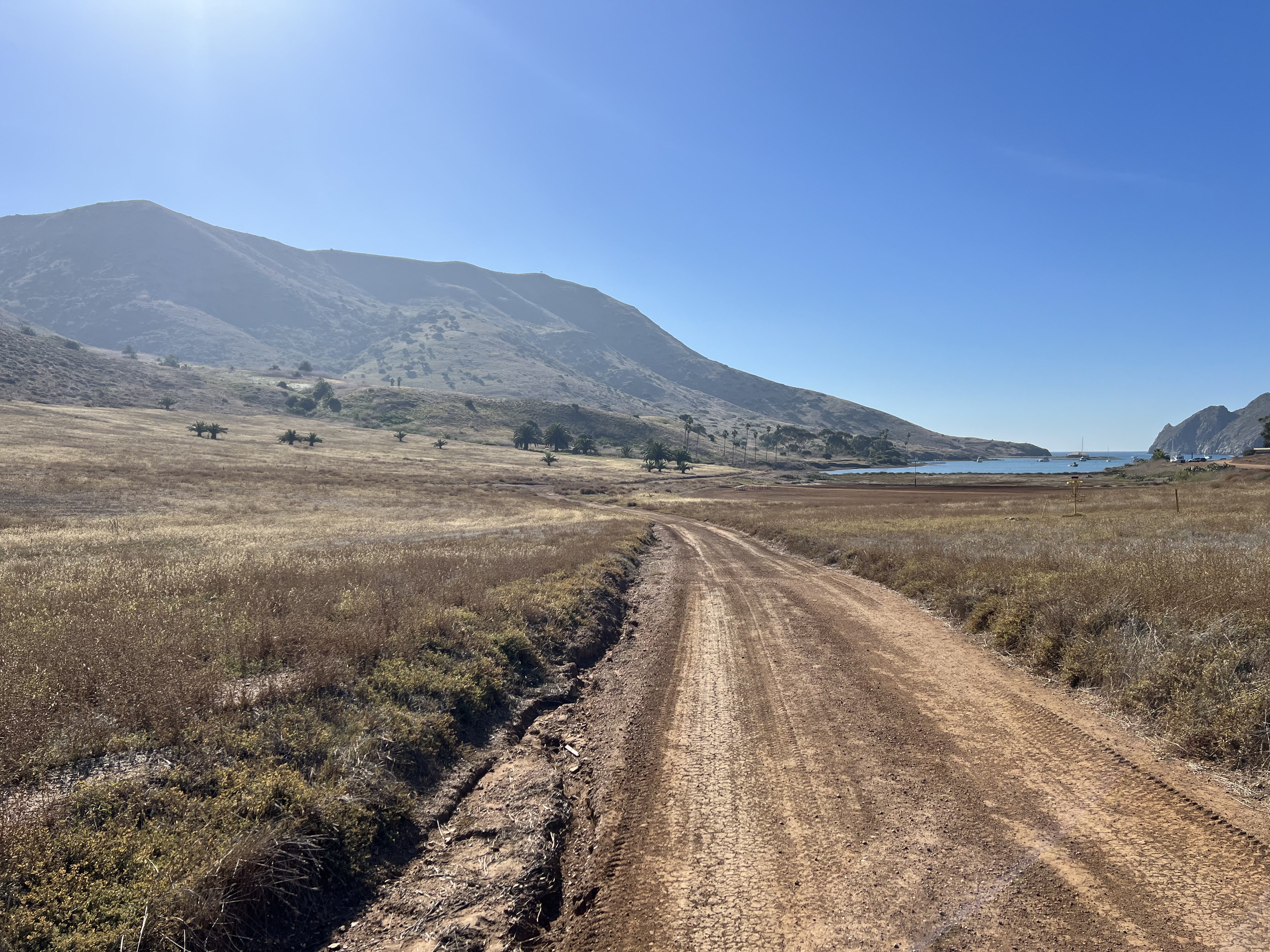 Looking back towards Cat Overlook on top of the ridge