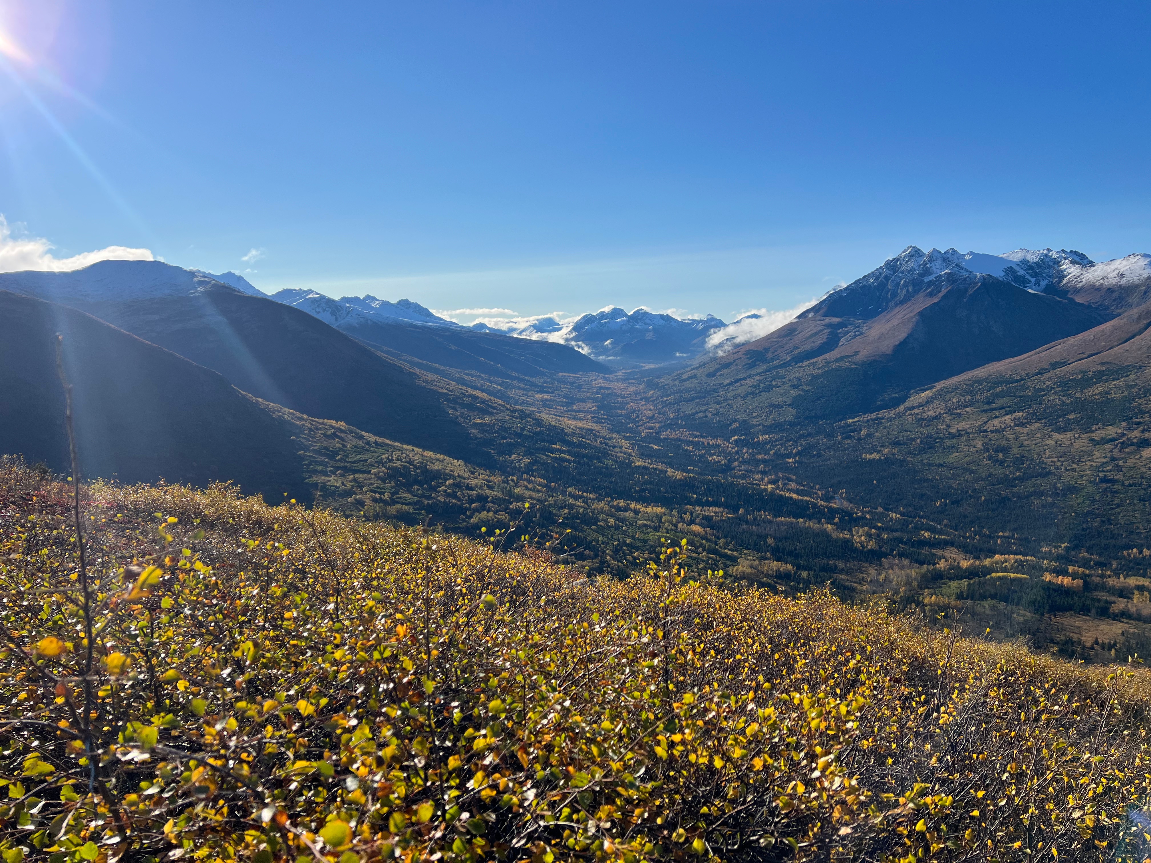 Bushes in the foreground. Looking down upon a wide valley bordered on both sides by mountains.