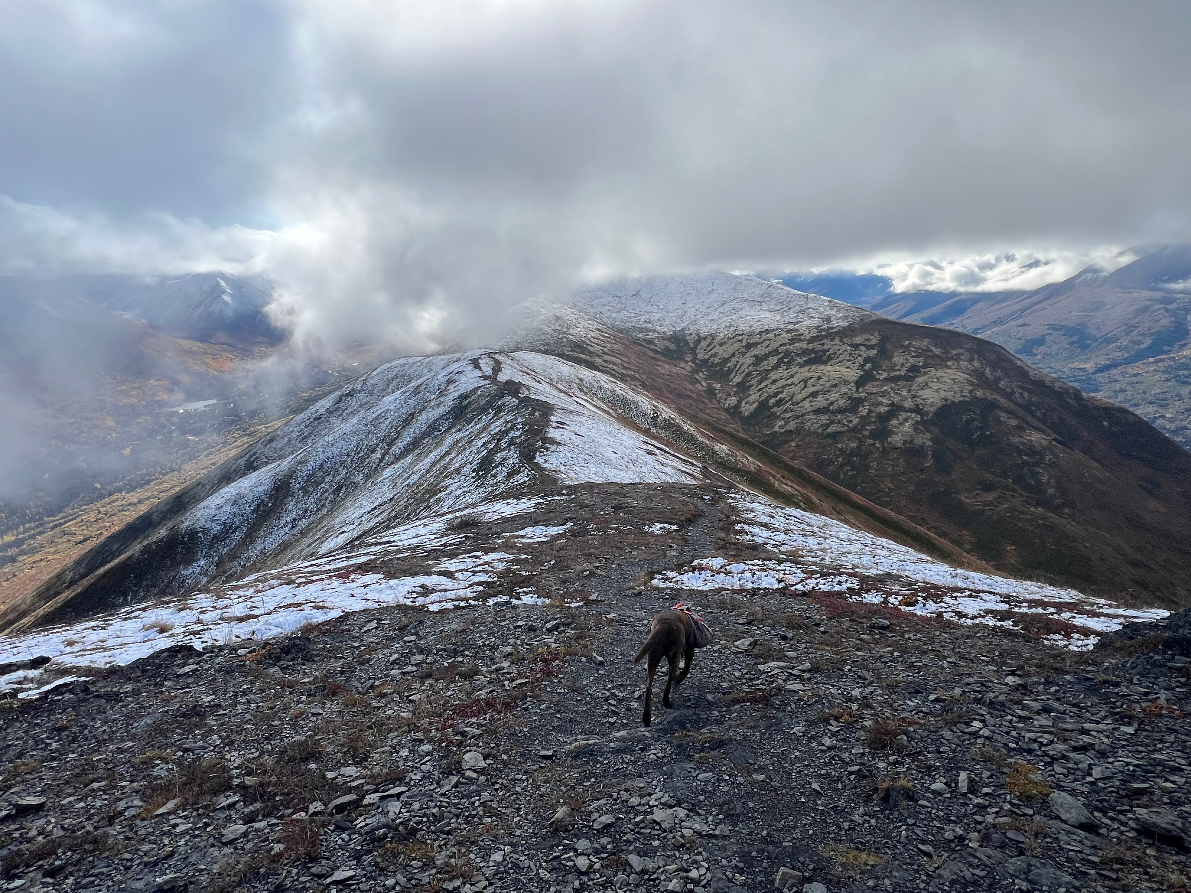 A dog jogs along a path that winds down along the ridge. A dusting of snow is visible above a distinct elevations