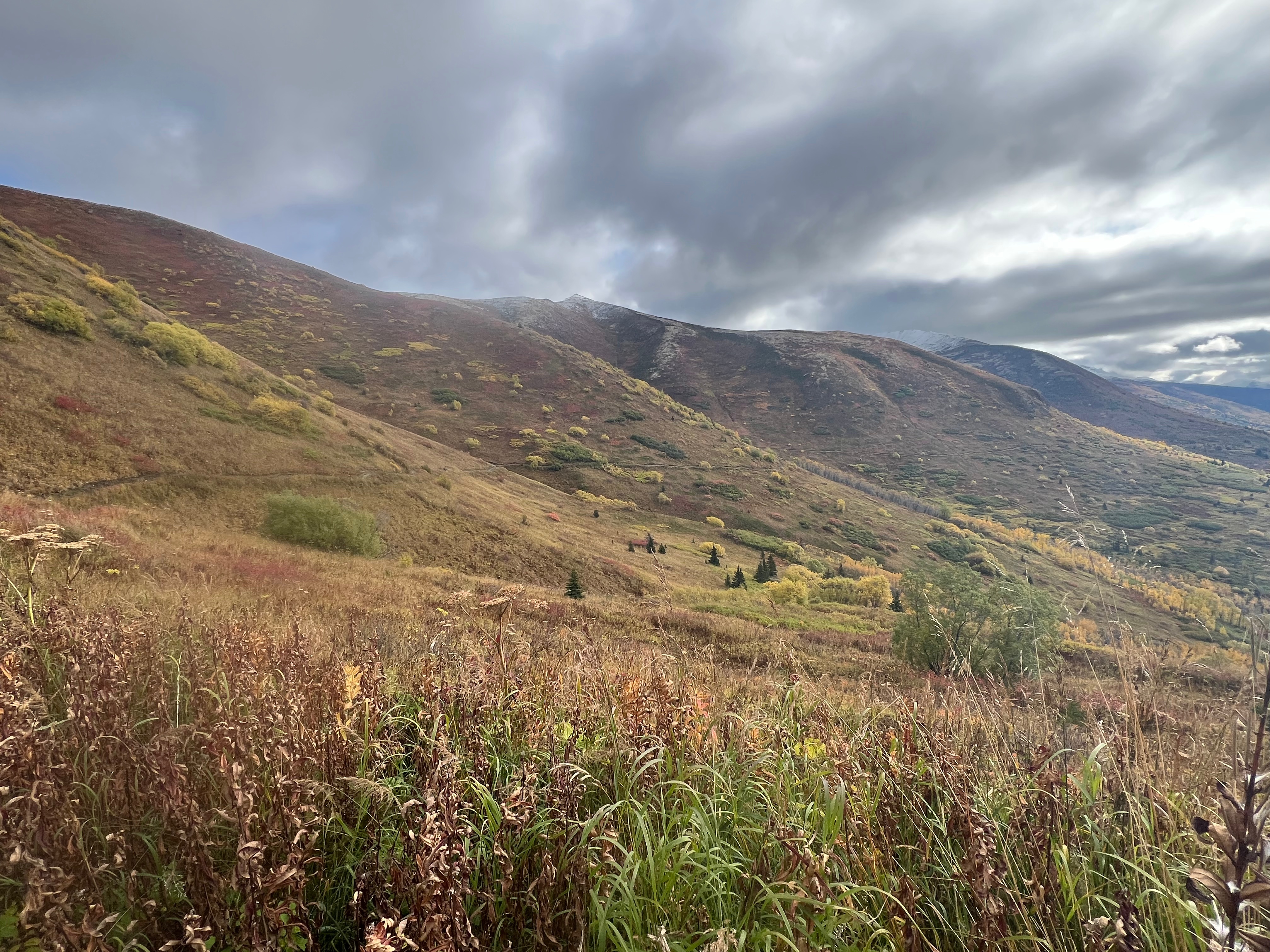 Cloudy skies. A trail cuts across the middle of the mountainside. Vegetation is changing into fall colors