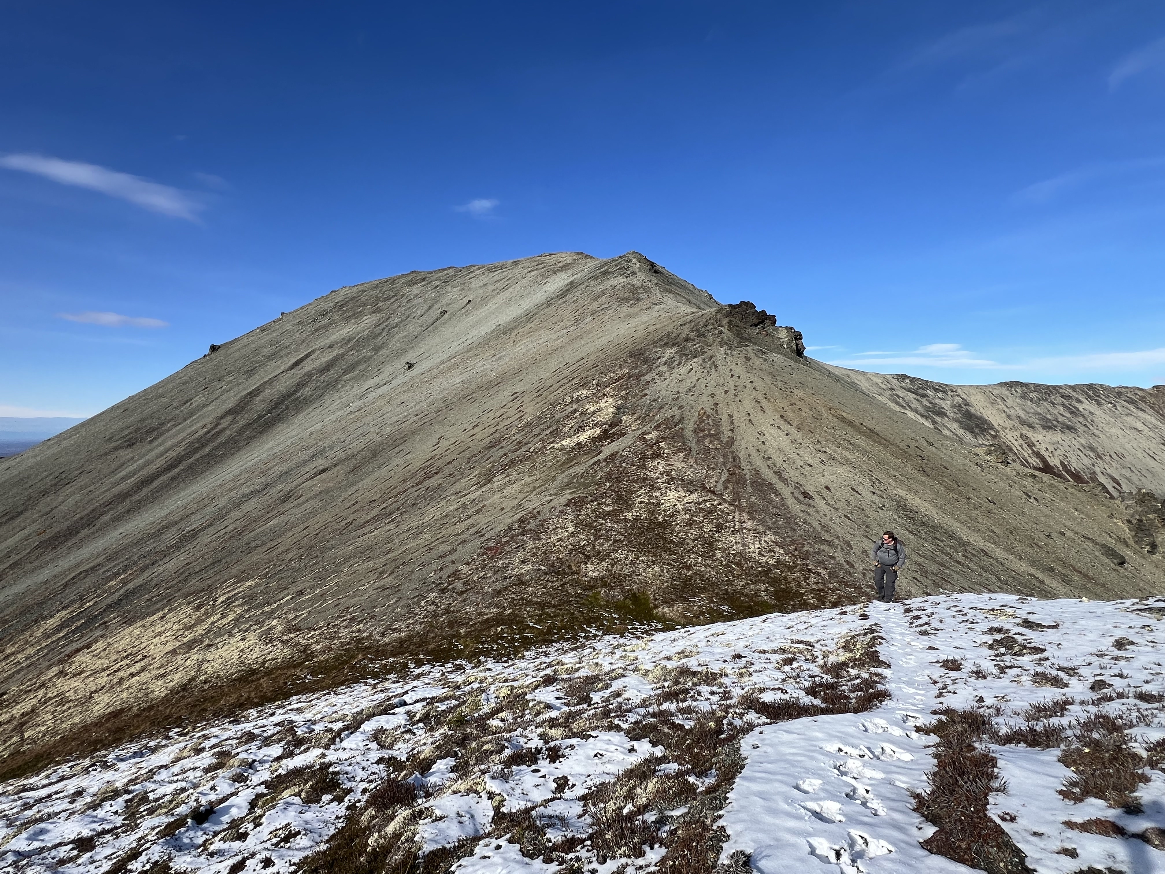 Looking back at 4199