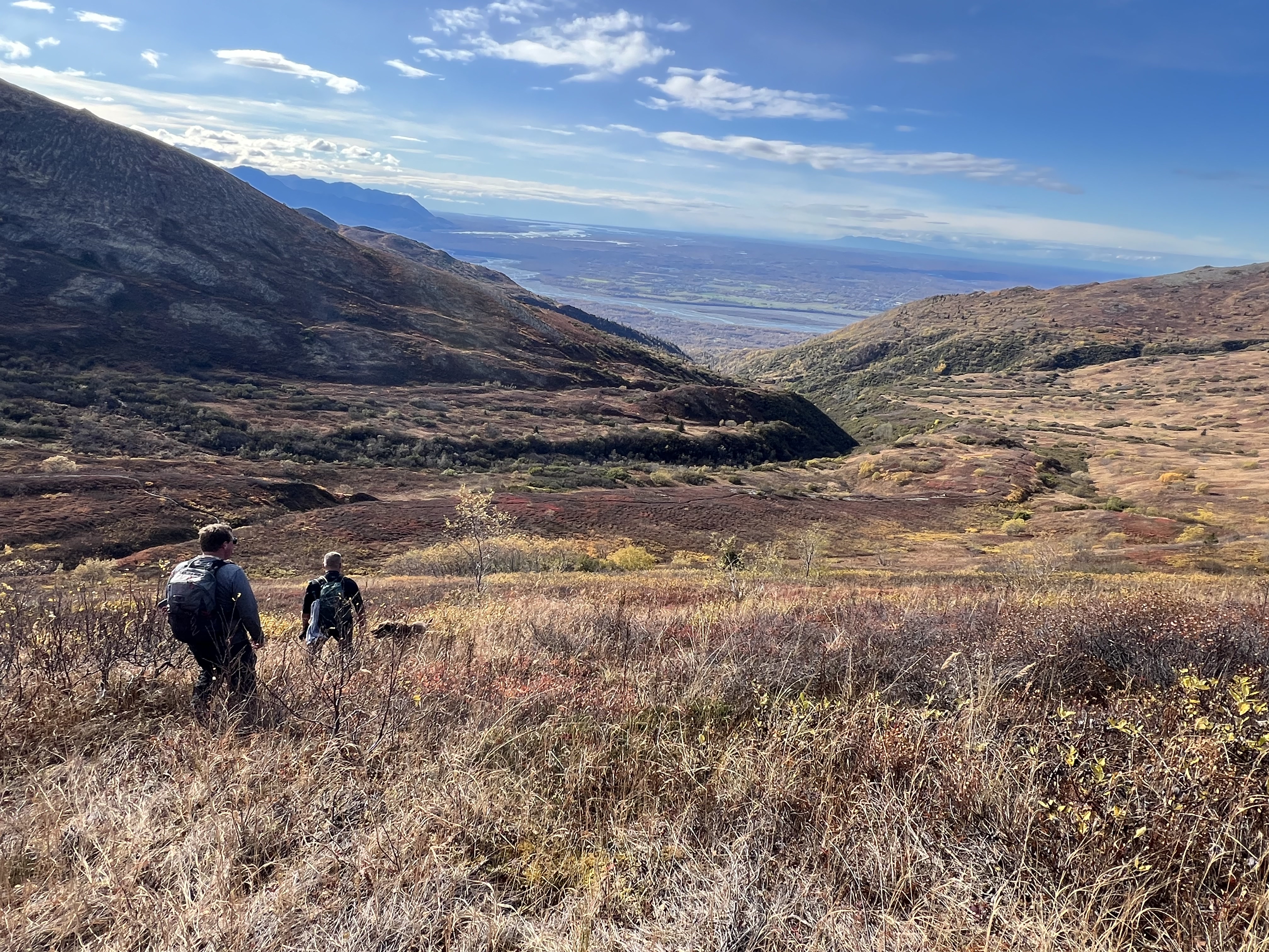 Two friends and a dog walking down a trailless hill