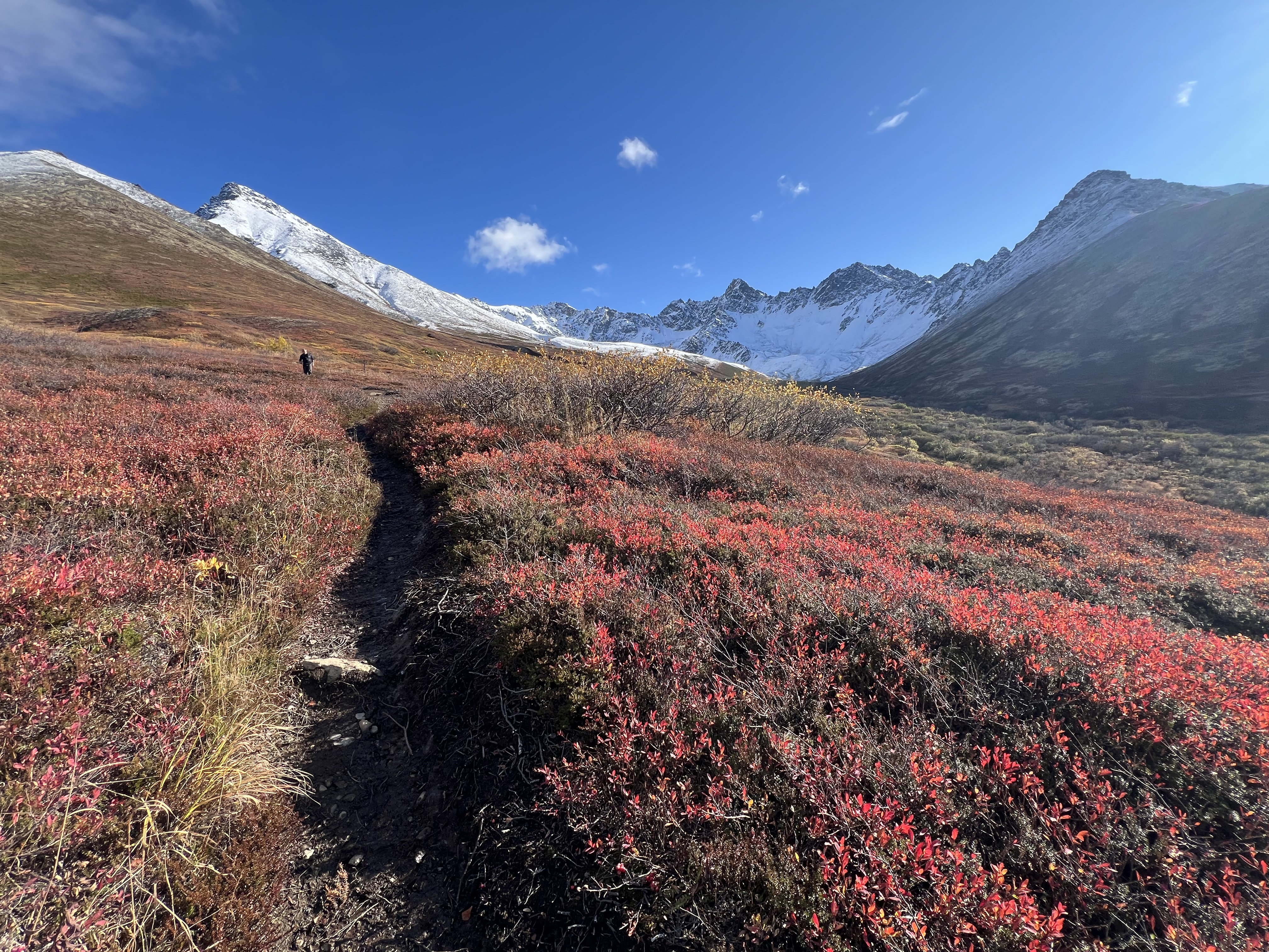 Snow capped peaks above a colorful fall valley