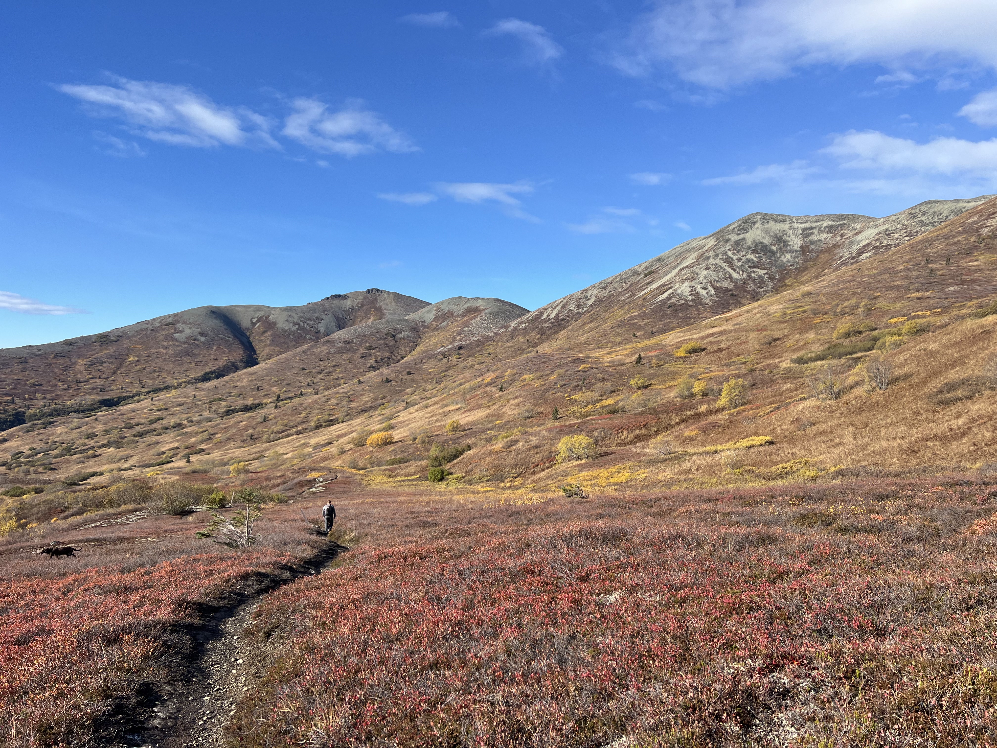 Walking down a narrow dirt path bordered by vibrant fall colors. Ridgeline visible above,