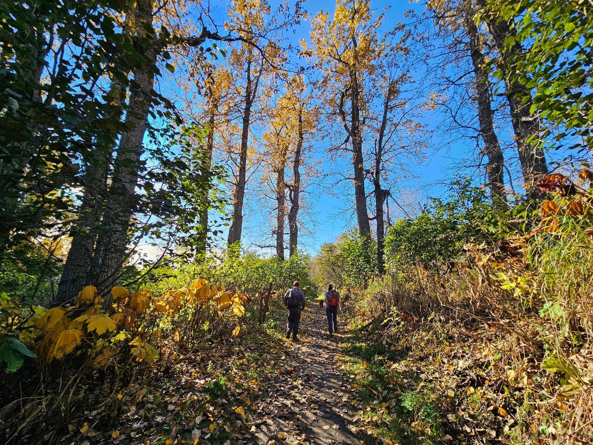 The author, friend and dog walking through the fall foliage almost back to the trailhead