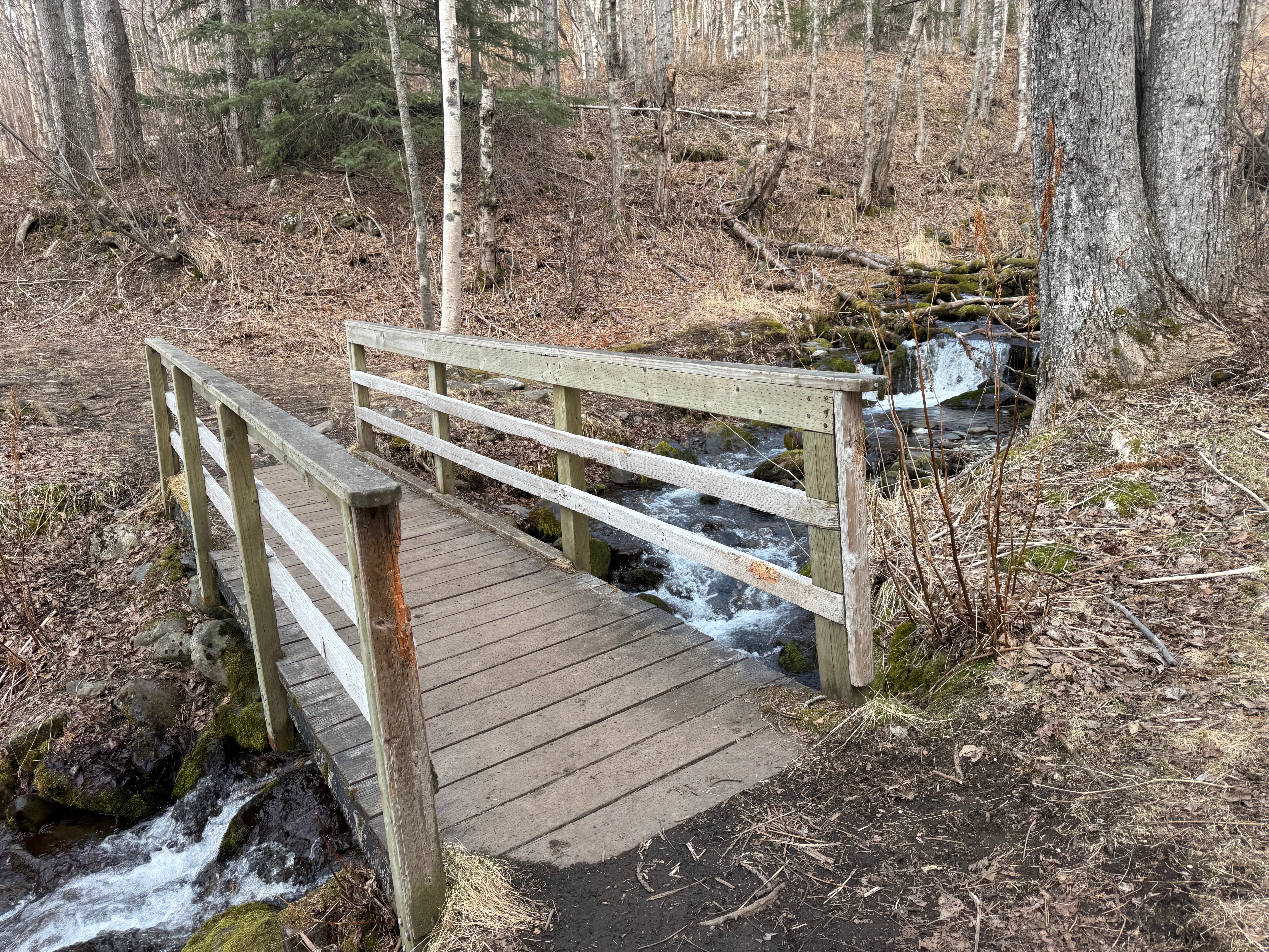 A wooden bridge crosses a small stream