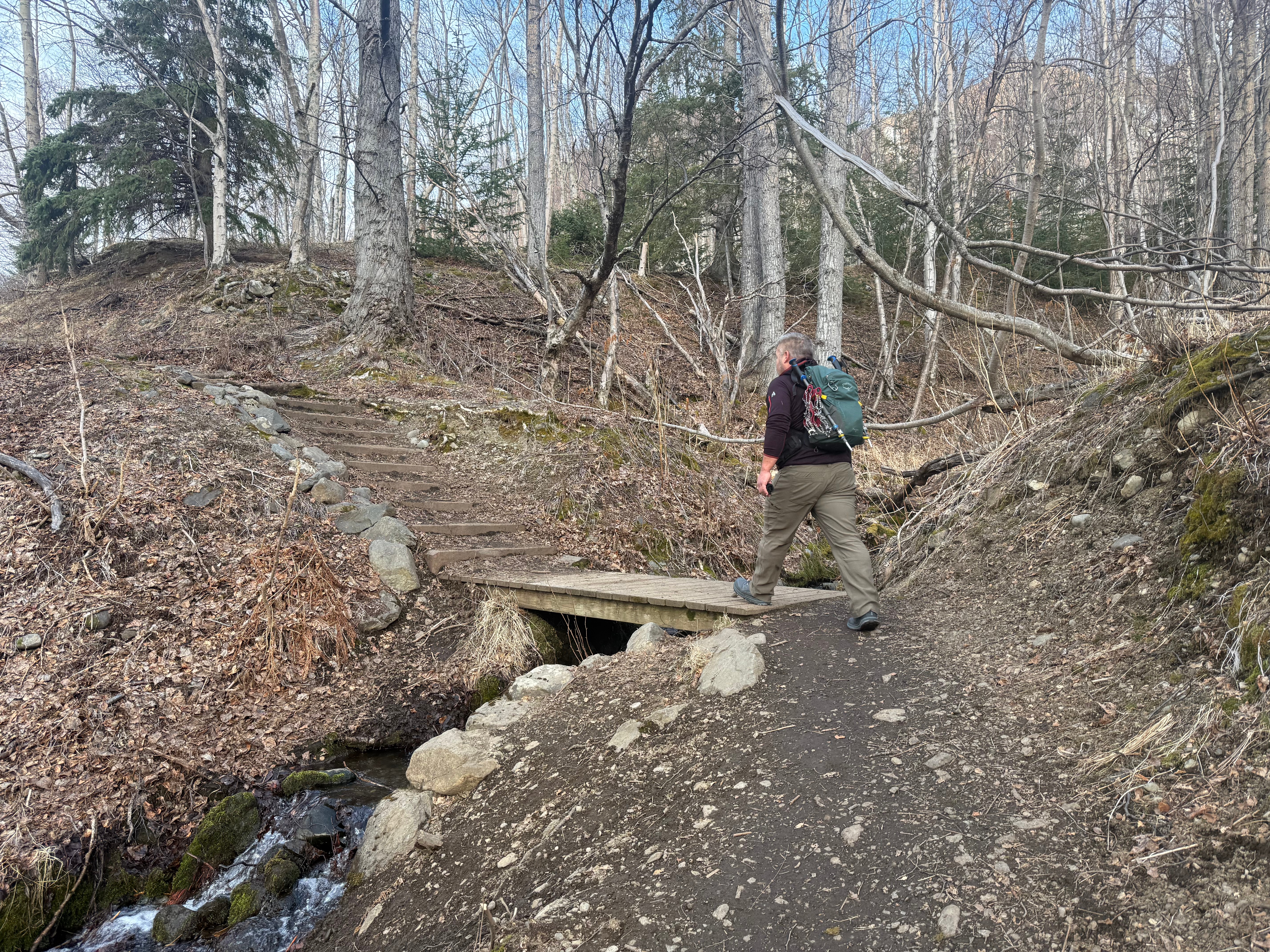 A hiker crosses a small footbridge, approaching 9 steps built with wooden retaining boards
