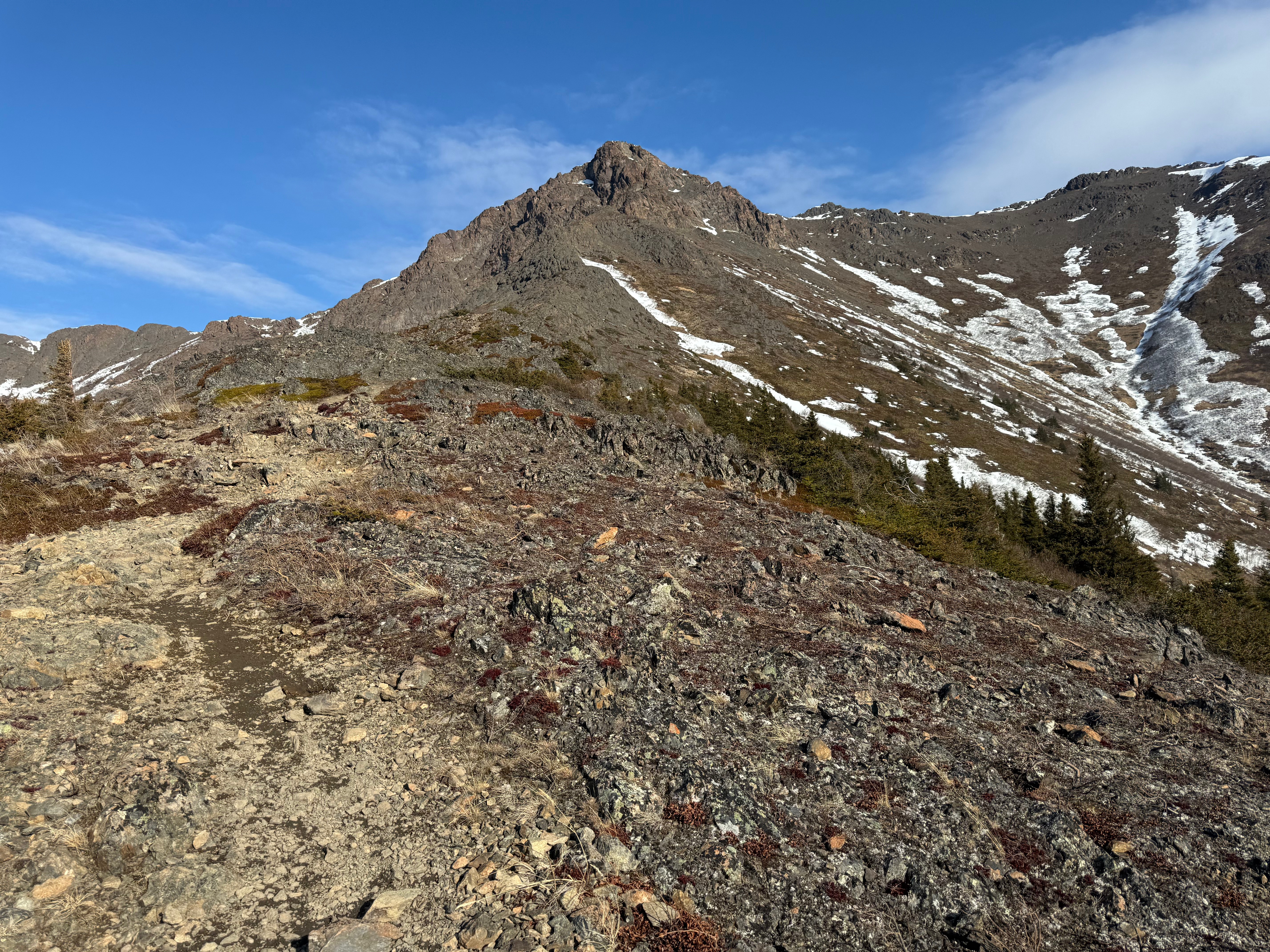 A rocky summit rises up out of tree line