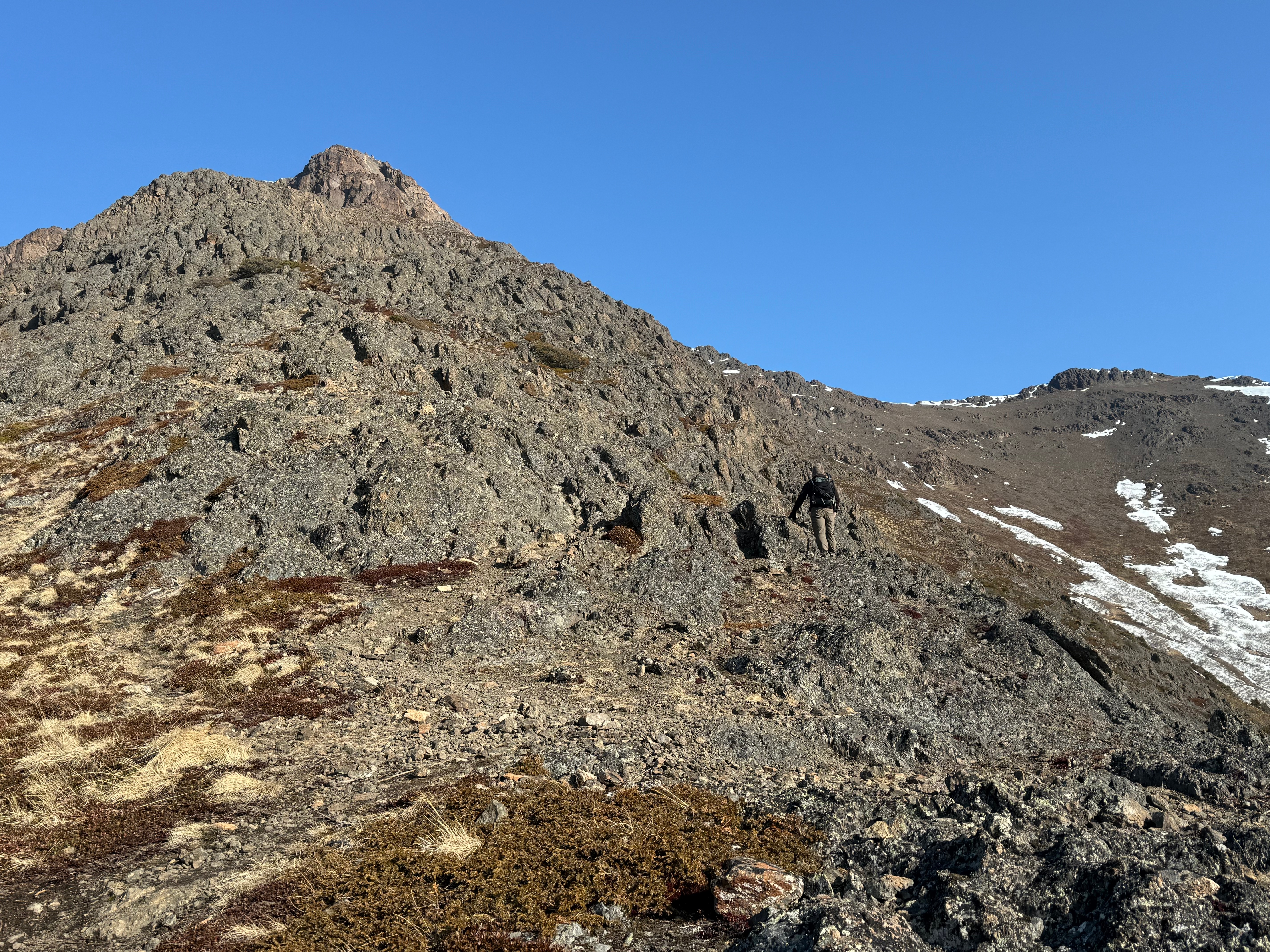A hiker walks towards the scree slopes. He is touching one of the many large rocks along the path.