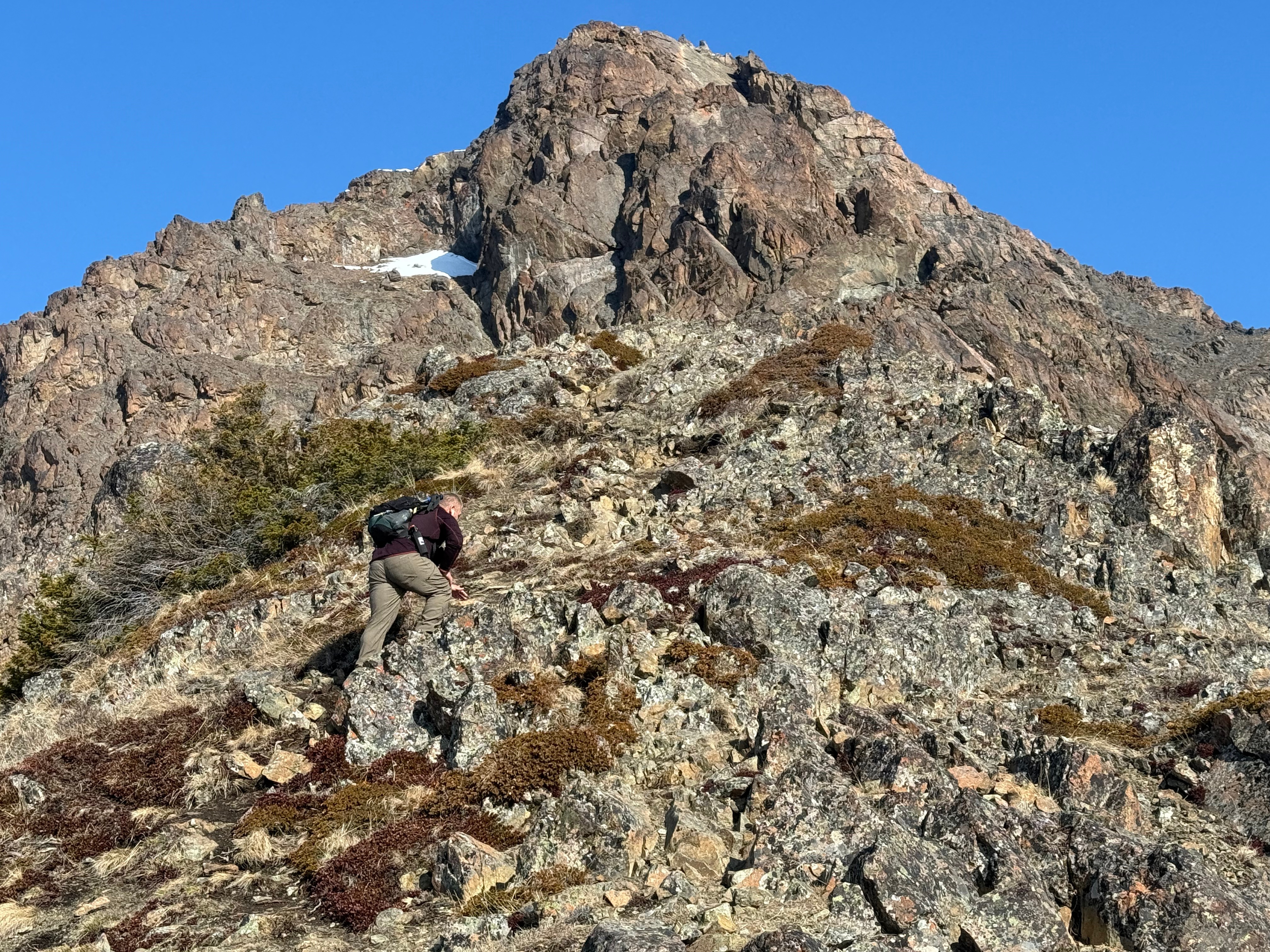 A hiker climbs up a rocky slope, dotted with mosses and shrubs. The summit is not far above.