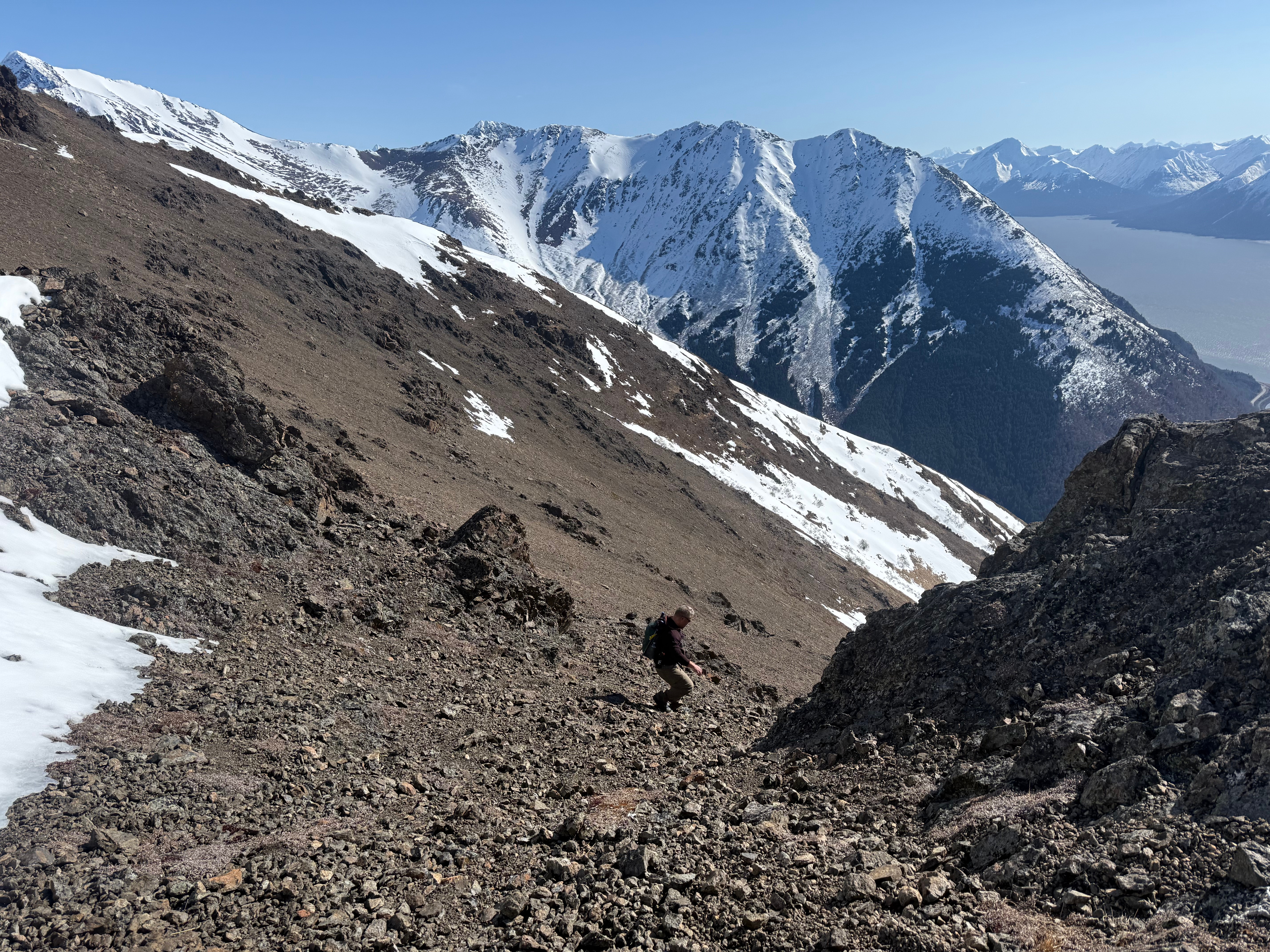 A hiker descends a steep scree chute.