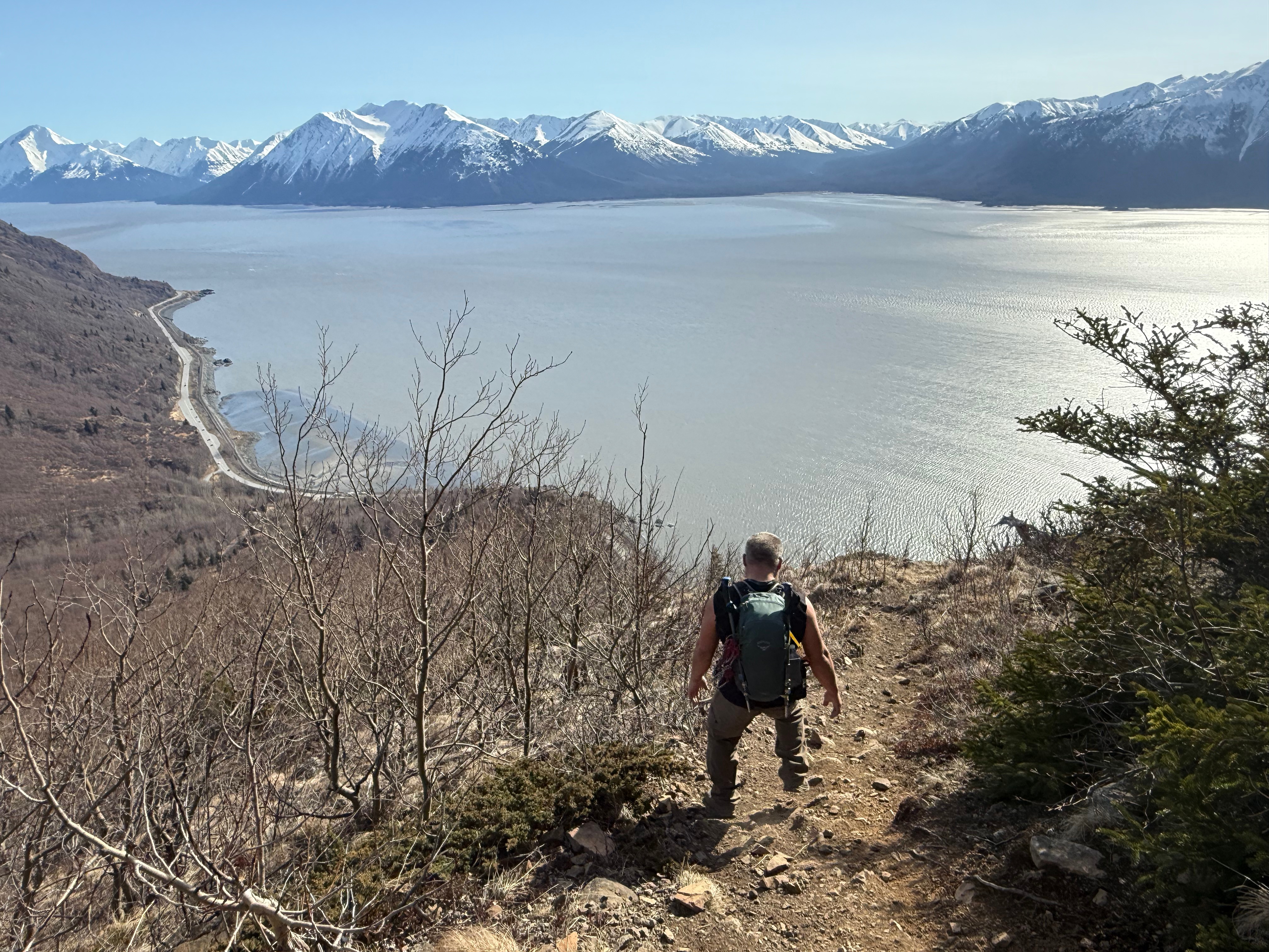 A hiker walks down a narrow, rocky path next to pine trees and leafless branches of alders. The ocean is now much closer.