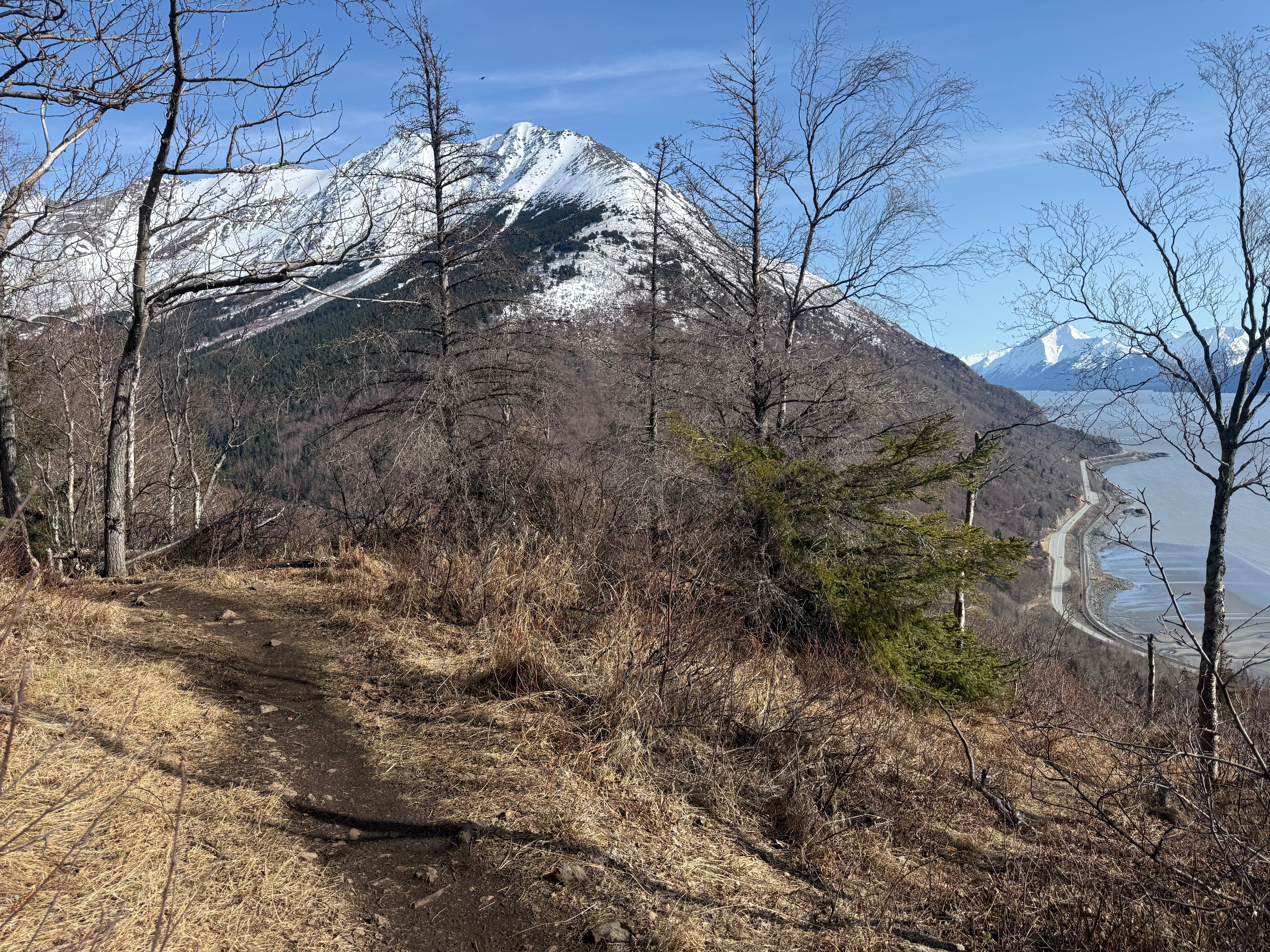 Standing on a wide, level path. The ocean less than 800' below