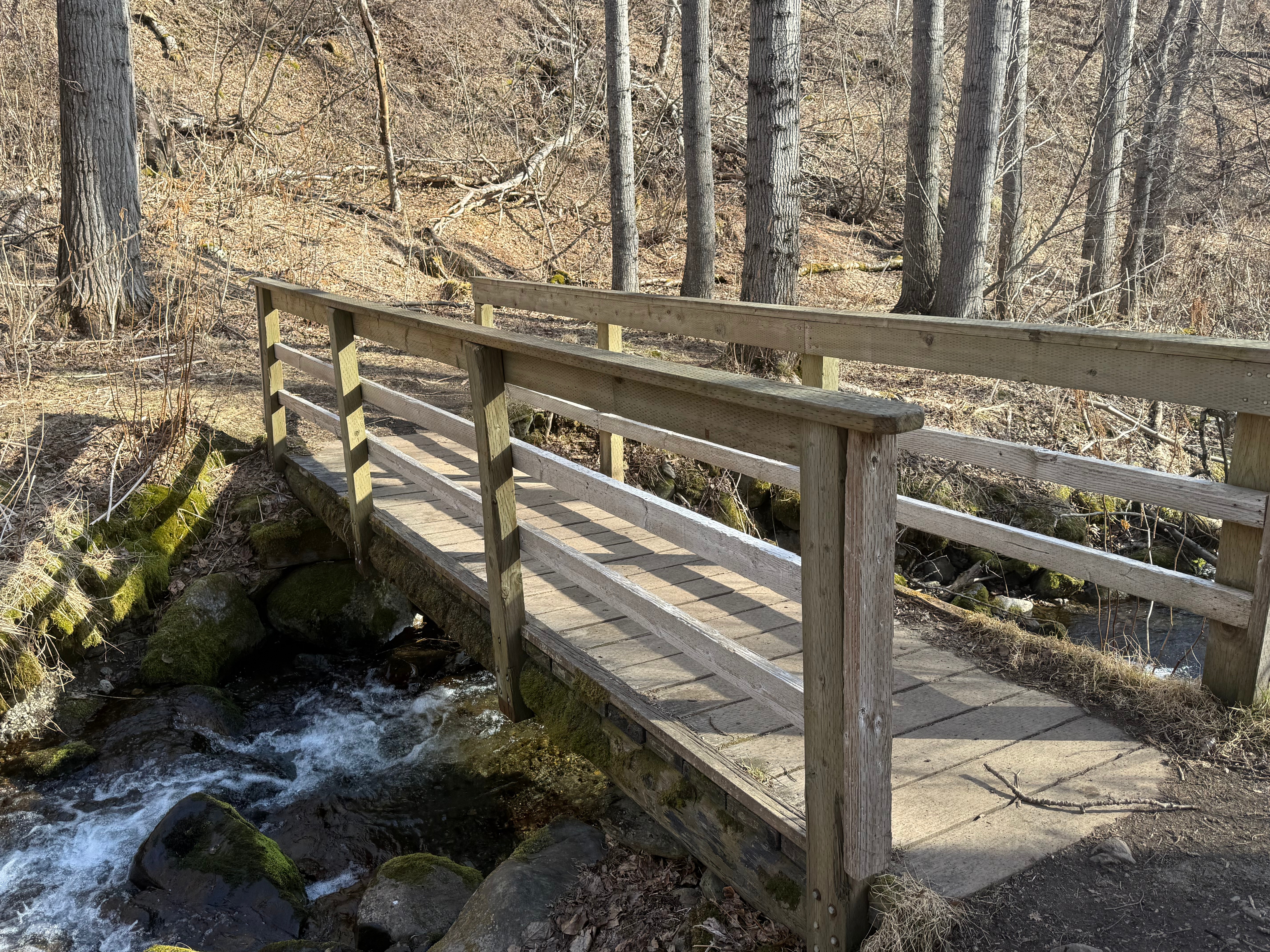 A wooden bridge crosses a small stream